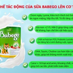 Sữa Babego (0 - 12 Tháng) 400g - hinh 03