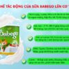 Sữa Babego (Trên 3 Tuổi) - hinh 05