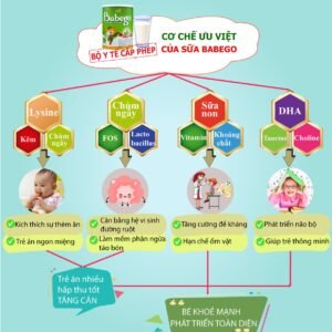 Sữa Babego (Trên 3 Tuổi) - hinh 06