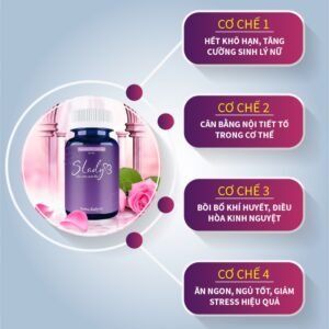 Viên uống nội tiết tố Nữ Slady - hinh01