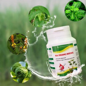 Hạ Khang Đường - eshopkhoedep04
