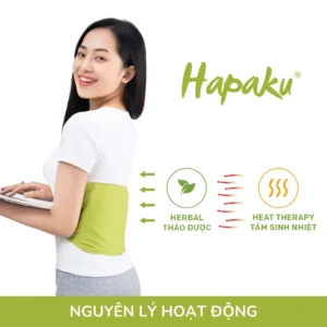 Túi Chườm Nóng Thảo Dược Hapaku Giảm Đau Lưng Hông - hinh 01
