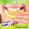 Kem Đánh Răng Thảo Dược L'angelica Toothpaste 75ml - eshop03