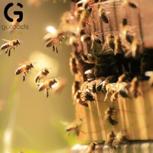 Mật ong hoa cà phê nguyên chất GUfoods - hinh 06