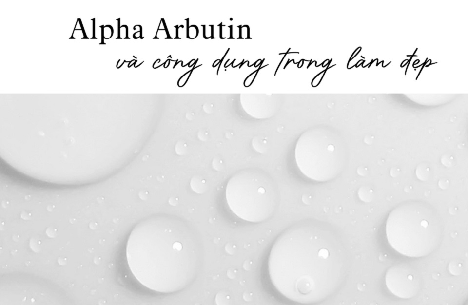 Alpha Arbutin Và Công Dụng Trong Làm Đẹp - hinh 01