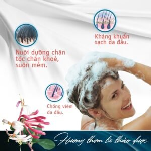 Dầu Gội Dược Liệu Kháng Khuẩn Gừng Đỏ Dego Pharma - hinh 04
