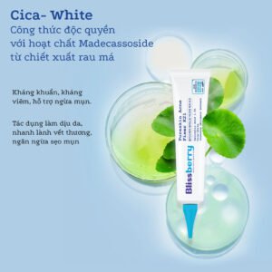 Gel bôi trị mụn Blissberry Pureskin Acne Fixer K21 - hinh 06