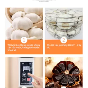Máy Làm Tỏi Đen Eco-Health Snapbee - hinh 04