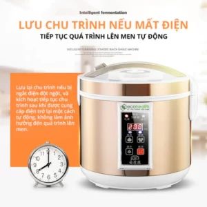 Máy Làm Tỏi Đen Eco-Health Snapbee - hinh 08
