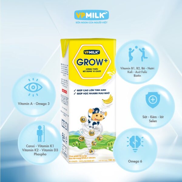 Sữa Tiệt Trùng Có Đường VPMilk Grow+ 110ml - hinh 02