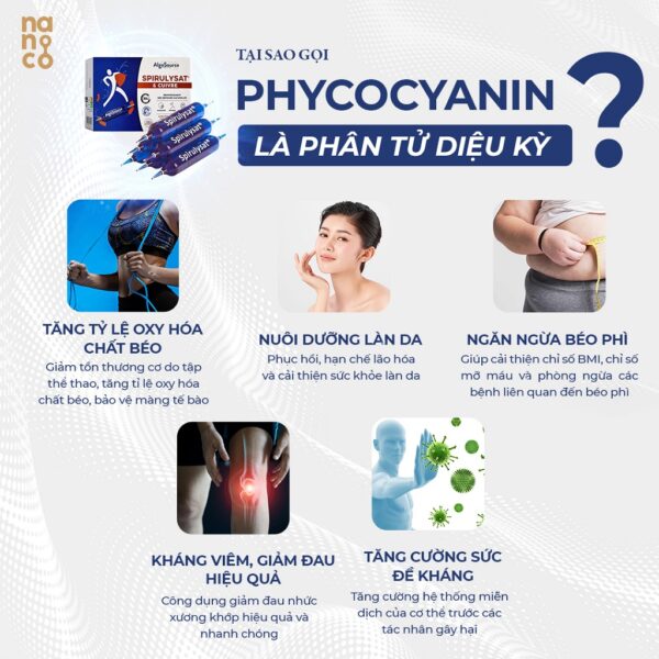 Thực Phẩm Tăng Cường Sức Khỏe Phycocyanin - hinh 05
