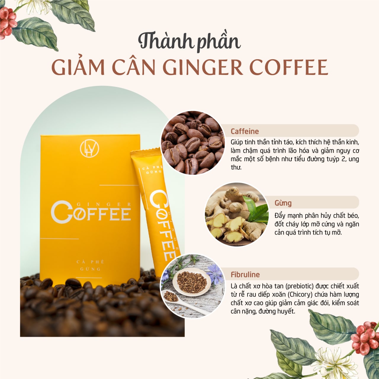 Cà phê Gừng Giảm Cân Ginger Coffee - hinh 08