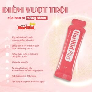 Siro Ăn Ngon NORIKID PLUS - h4
