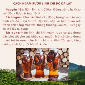Nấm Linh Chi Đỏ Đà Lạt - hinh 03