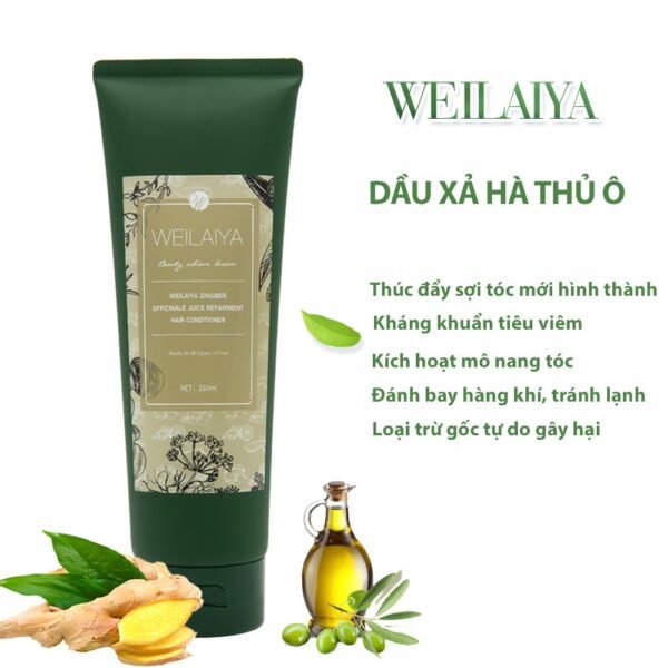 Dầu Xả Gừng Hà Thủ Ô Ngăn Rụng Tóc Weilaiya - hinh 03