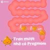 Combo 3 livespo preg-mom - hinh 03