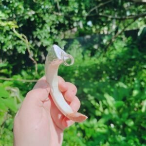 Mặt dây chuyền nanh heo rừng thiên nhiên bọc bạc ta - hinh 04