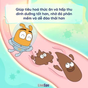 Men vi sinh Bào tử lợi khuẩn LiveSpo Pregmom - hinh 03
