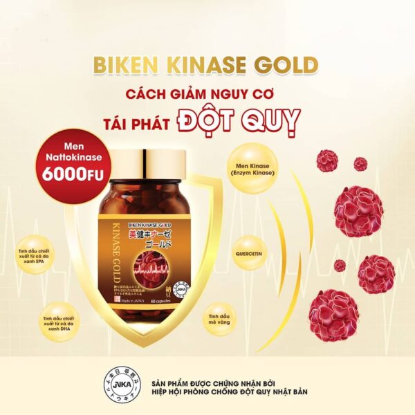 Viên uống hỗ trợ ngăn ngừa đột quỵ Biken Kinase Gold - hinh 02