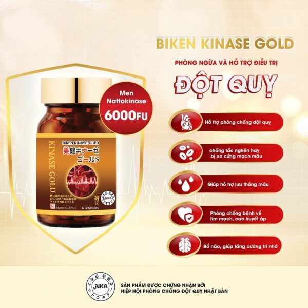 Viên uống hỗ trợ ngăn ngừa đột quỵ Biken Kinase Gold - hinh 03