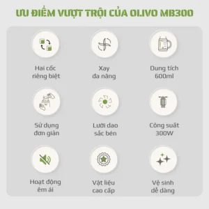 Máy Xay Sinh Tố OLIVO MB300 - hinh 03