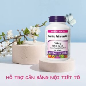 Viên Uống Dầu Hoa Anh Thảo Evening Primrose Oil GLA - hinh 03
