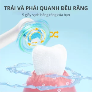 Bàn Chải Điện Đầu Xoay Tròn Kachi MK361 - hinh 010