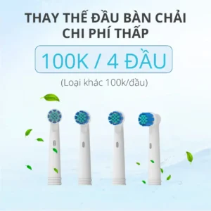 Bàn Chải Điện Đầu Xoay Tròn Kachi MK361 - hinh 08