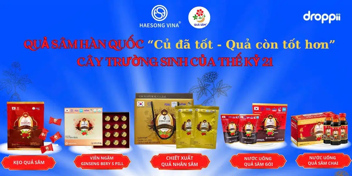 Haesong Vina – Banner 01