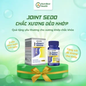 NMI Joint Sedo Việt Nam