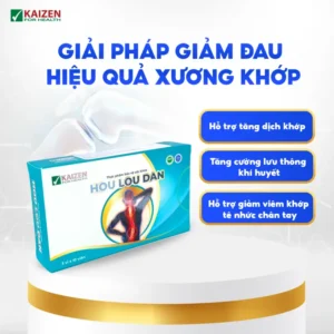 Viên uống Hou Lou Dan 30 viên – Hỗ trợ giảm viêm khớp