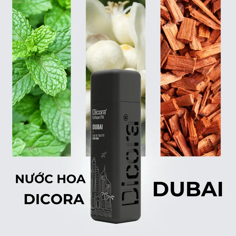 Nước Hoa Dicora Urban Fit Dubai 100ml - Hinh 01